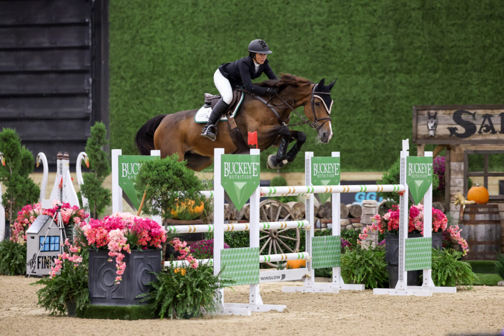 A rider in competition attire jumps a bay horse over an equestrian obstacle.