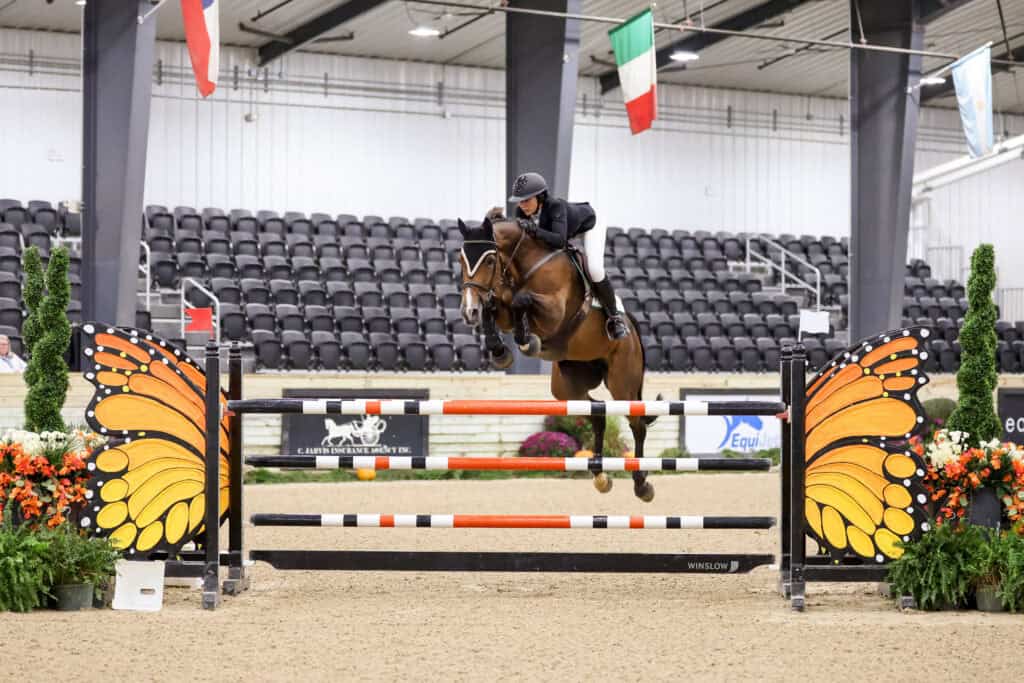 A rider on a brown horse jumping over a hurdle decorated with large butterfly wing designs in an indoor arena.