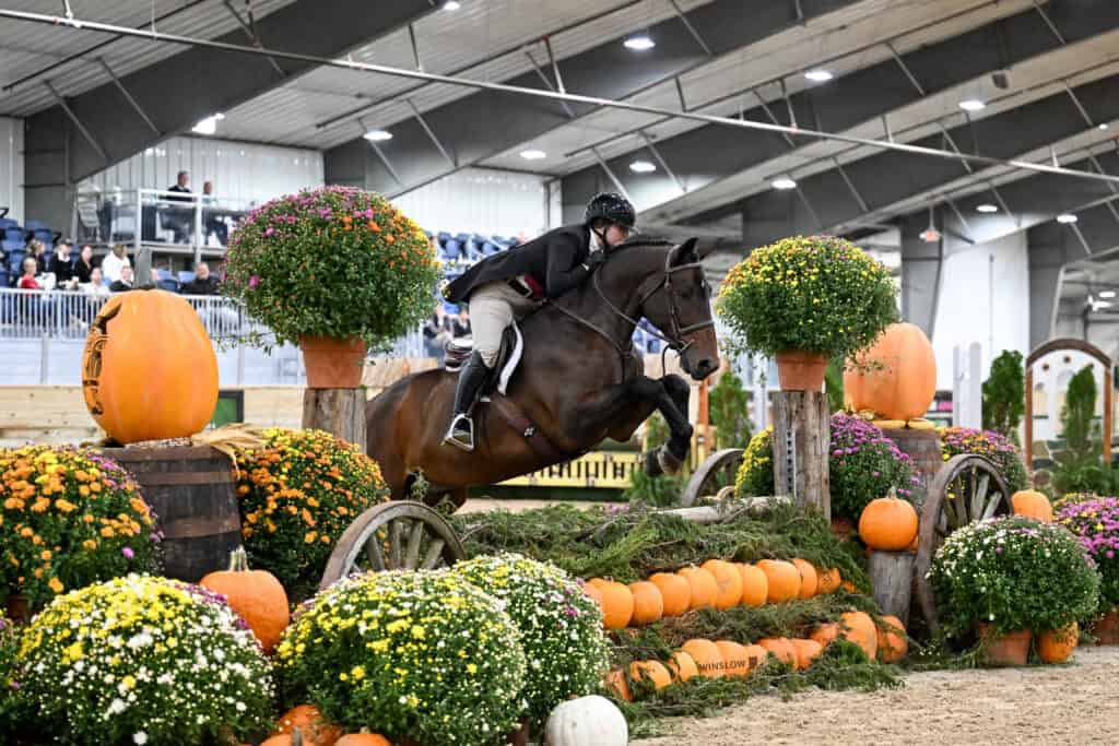 A rider on a brown horse jumps over a fence decorated with pumpkins and potted mums in an indoor arena.