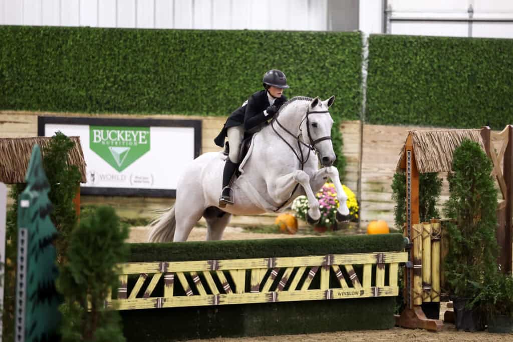 A rider in formal equestrian attire jumps a grey horse over a hedge-style fence in an indoor arena.