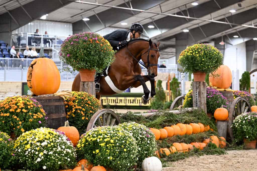 A rider in equestrian attire jumps a horse over a fence decorated with pumpkins and potted mums in an indoor arena.