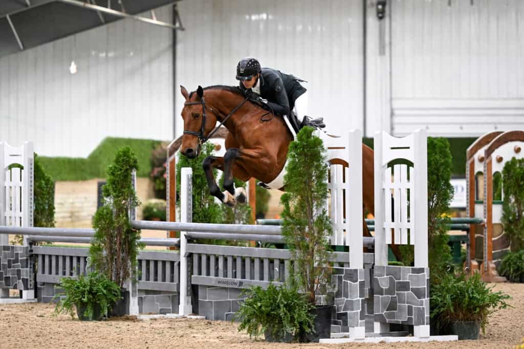 A rider in equestrian gear jumping a horse over a show jumping obstacle in an indoor arena.