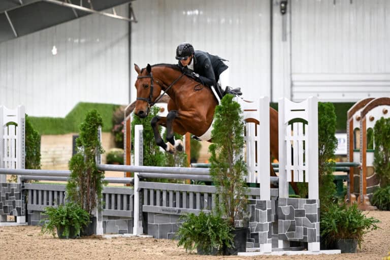 A rider in equestrian gear jumping a horse over a show jumping obstacle in an indoor arena.