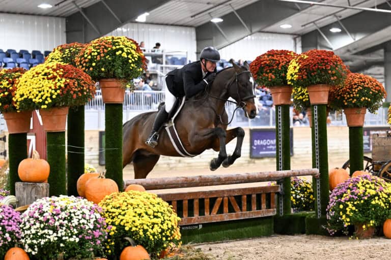 A rider in a black jacket and helmet jumps their dark horse over a wooden jump decorated with pumpkins and colorful mums.