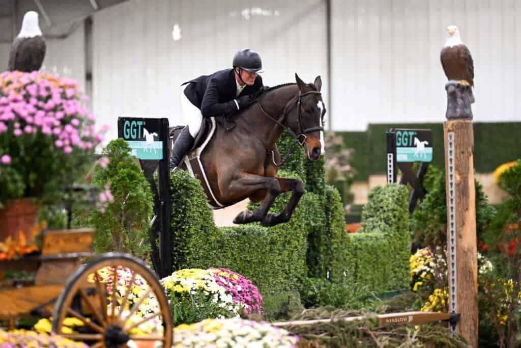 A rider on a dark horse jumping over a hedge obstacle in an indoor equestrian arena.