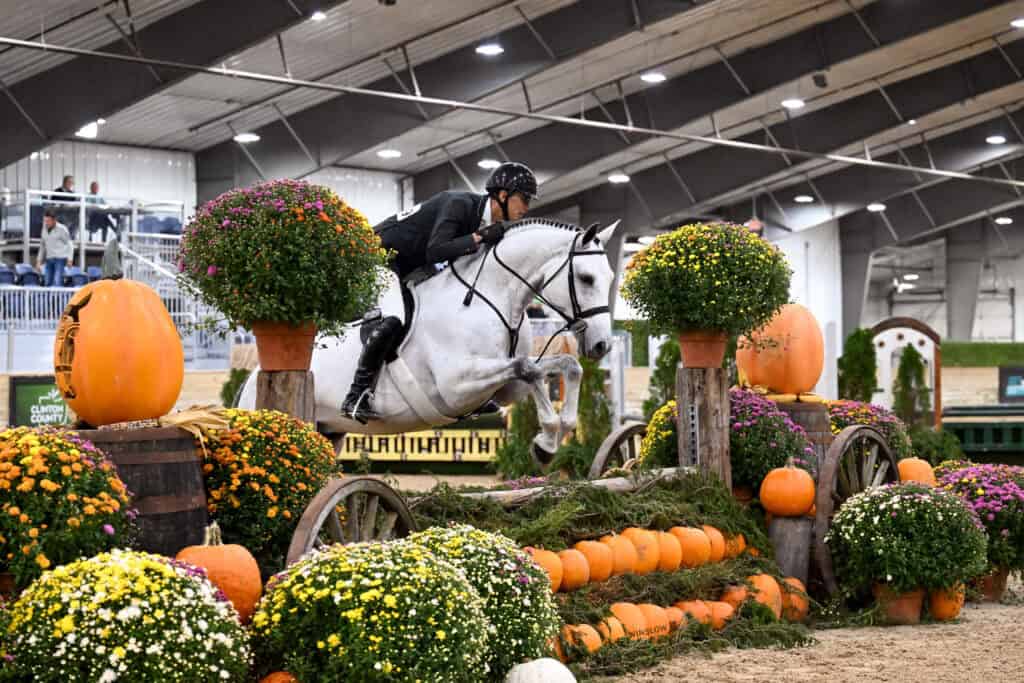 A rider in a helmet and equestrian gear jumps a white horse over an obstacle decorated with pumpkins and potted chrysanthemums in an indoor arena.